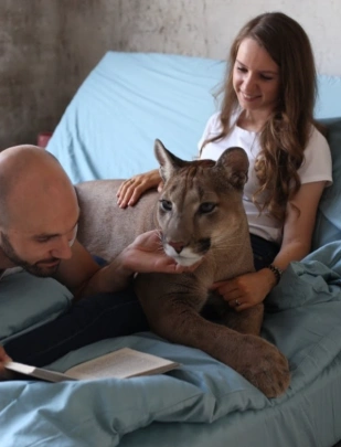 puma-dan-manusia-mengurangi-konflik